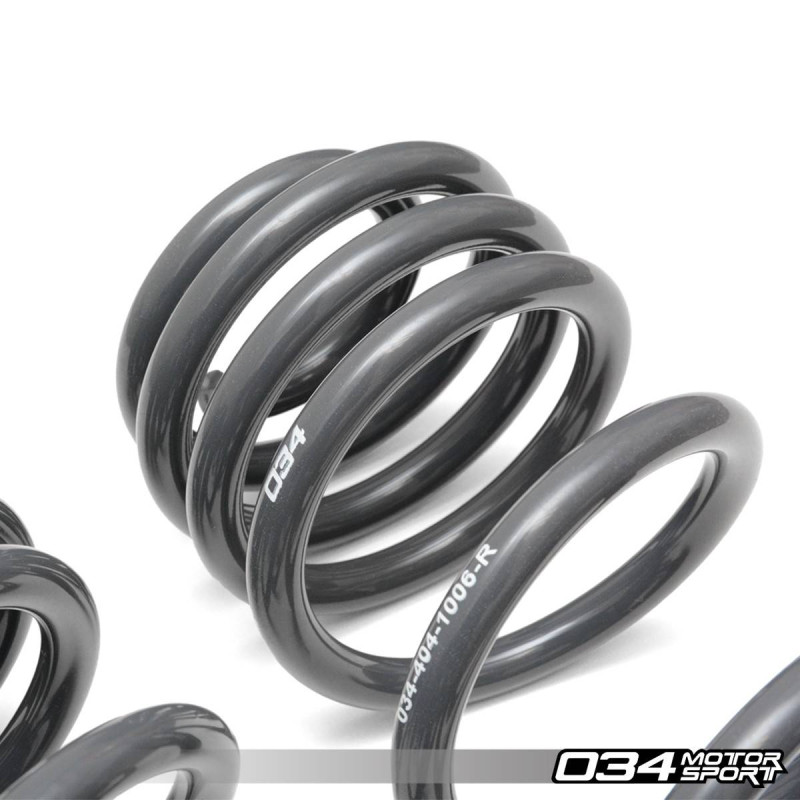 Ressorts Courts Dynamic+ 034Motorsport – Audi 8S TT RS