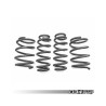 Ressorts courts 034-404-1008 034Motorsport pour Audi RS3 8V.5