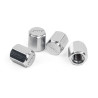 Bouchons de valve APR - Argent