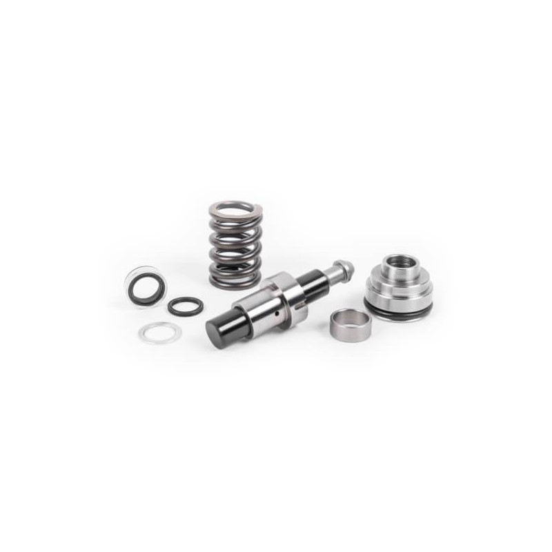 APR Pompe à carburant haute pression (HPFP) - 2.5 TFSI (Rebuild)