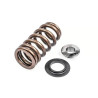 APR Kit ressorts de soupapes renforcés - Valve Spring Kit (1 Set)