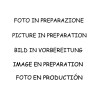 Audi A4 (typ 8K - B8) et + - Remplacement FAP Ragazzon