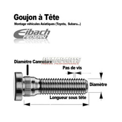 Goujons à tête plate...