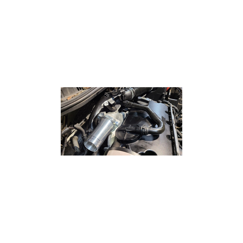 Darkside 1.9 TDI US Spec BEW EGR delete / intake manifold