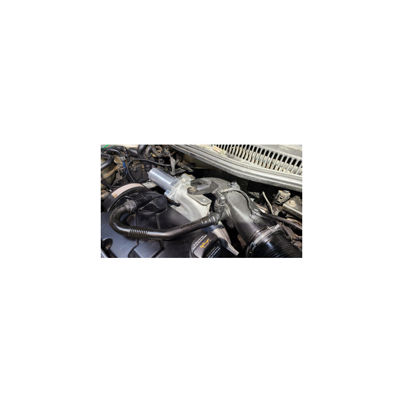 Darkside 1.9 TDI US Spec BEW eliminazione EGR / collettore di aspirazione