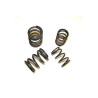 Reinforced Valve Spring Kit 034Motorsport: Audi 5-Cylinder 20V