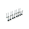 Stock Size Stainless/Inconel Valve Set 034Motorsport, 2.0T FSI