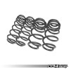 Ressorts Courts Dynamic+ 034Motorsport – Audi B8/B8.5 S4 3.0 TFSI